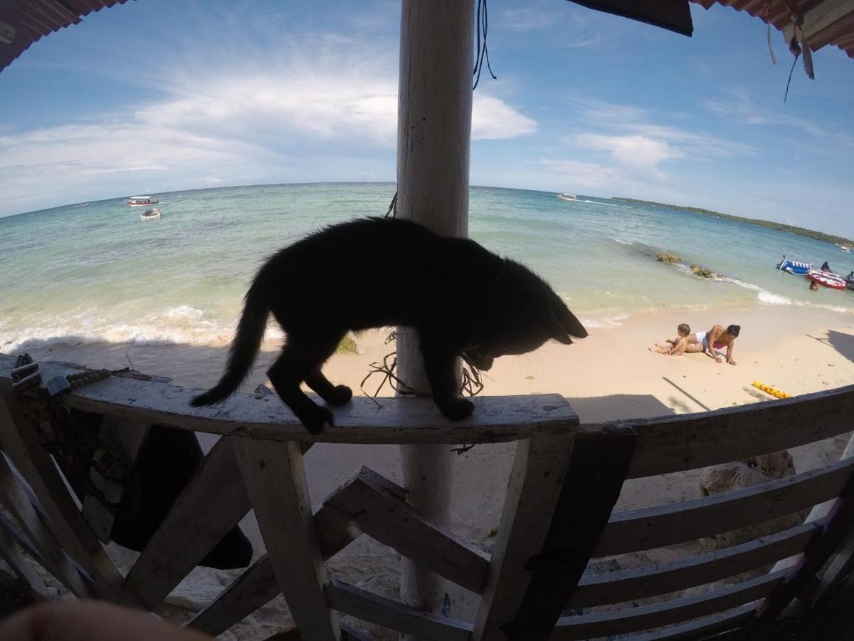 Despertarte Espacio De Arte Y Hospedaje Playa Blanca Luaran gambar